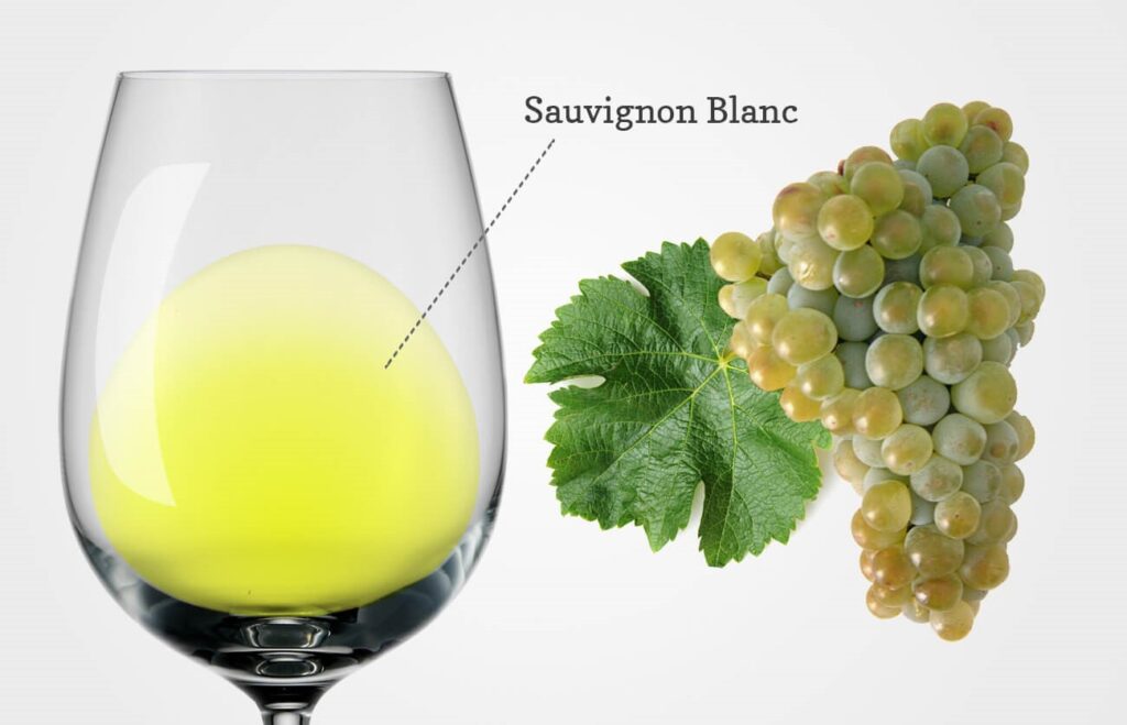 sauvignon blanc